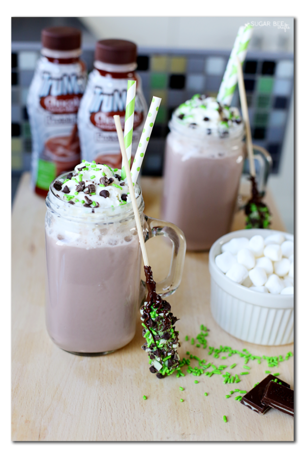Mint Chocolate Chip Hot Chocolate Sugar Bee Crafts