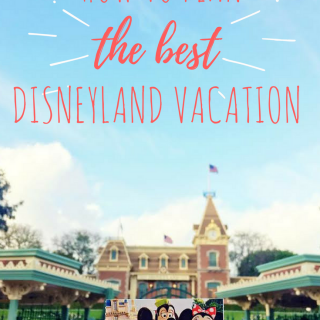 Disney vacation pin image