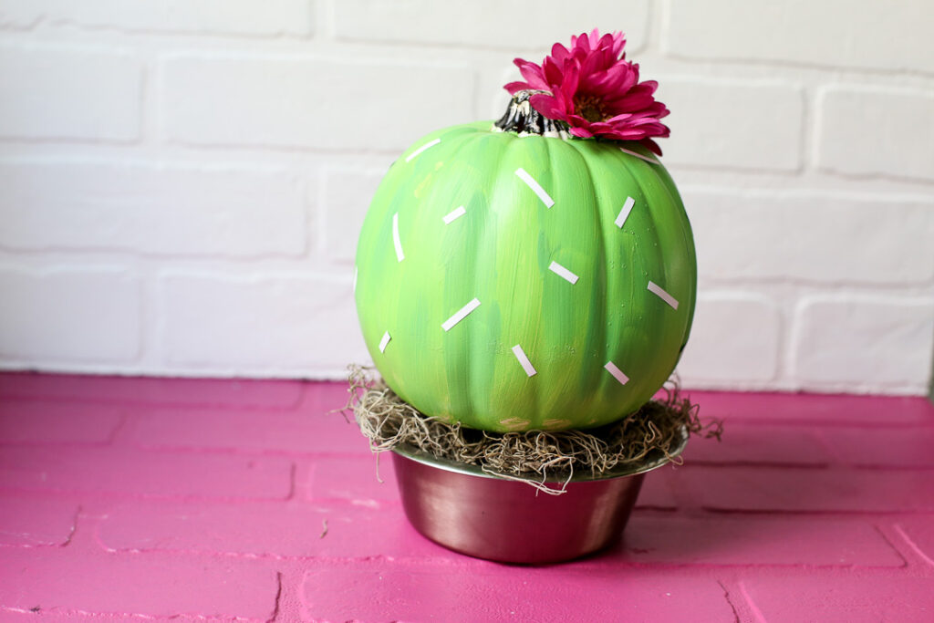 Cactus pumpkin 11