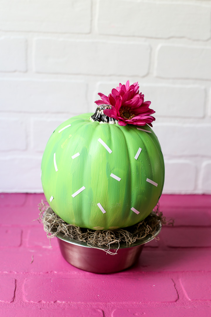 Cactus Pumpkin